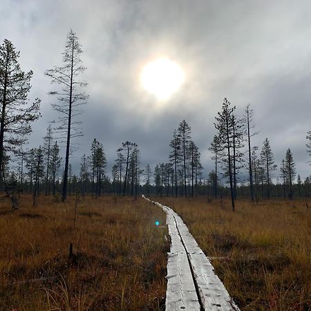 Logwood Chalet Luosto Zewnętrze zdjęcie