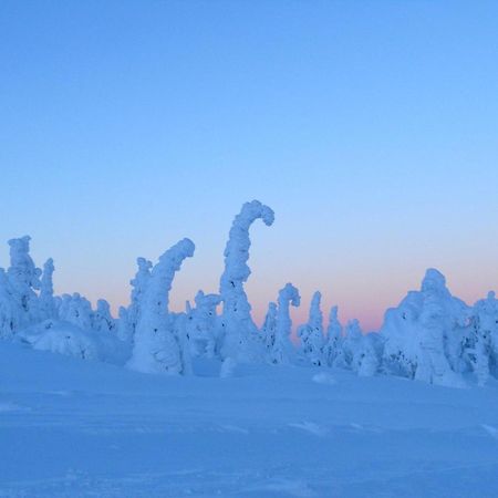 Logwood Chalet Luosto Zewnętrze zdjęcie