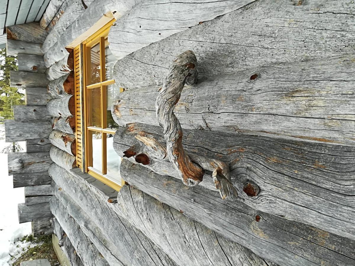 Logwood Chalet Luosto Zewnętrze zdjęcie