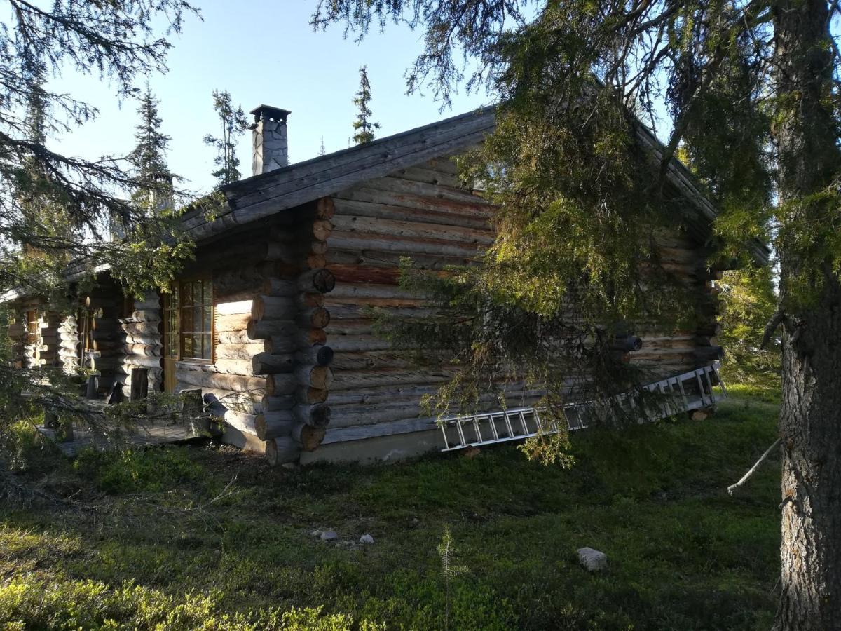 Logwood Chalet Luosto Zewnętrze zdjęcie