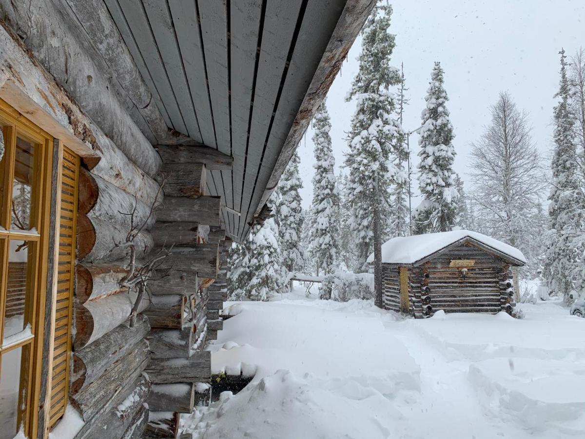 Logwood Chalet Luosto Zewnętrze zdjęcie