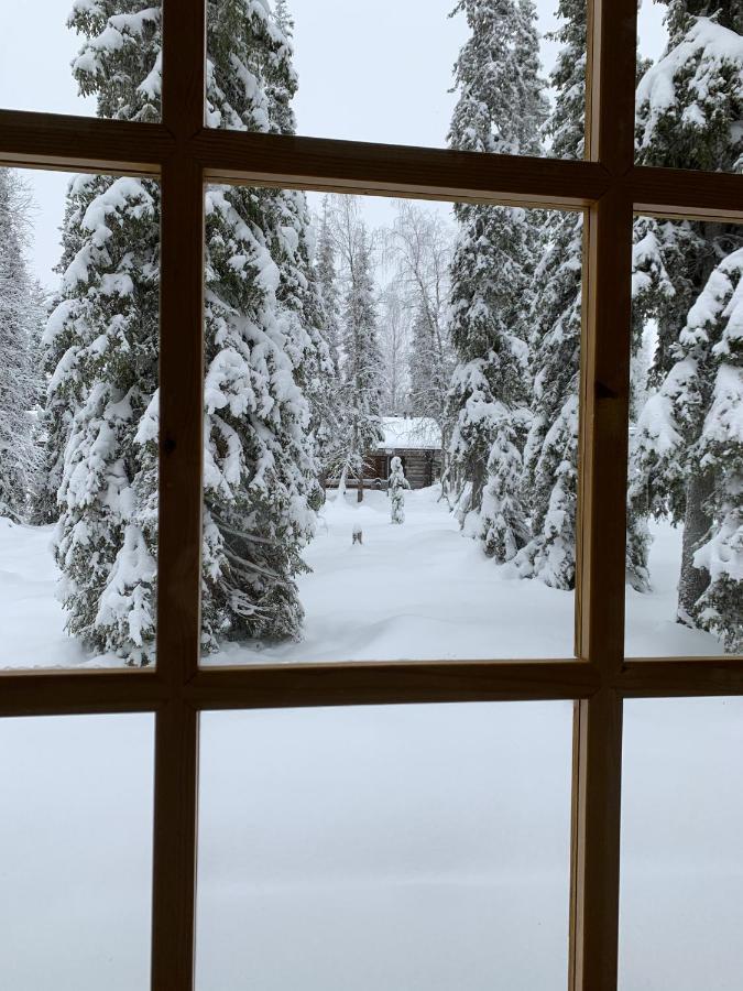 Logwood Chalet Luosto Zewnętrze zdjęcie